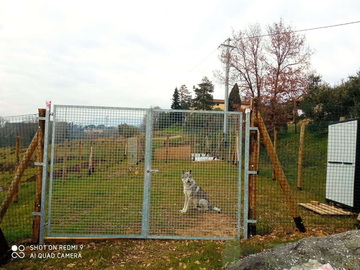 Recinti per cani > Toscana Recinzioni